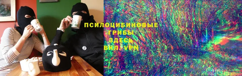 Псилоцибиновые грибы MAGIC MUSHROOMS  где продают наркотики  Кропоткин 